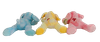 Three color lying dog